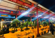 星乐园夜市,璀璨夜生活，美食狂欢盛宴